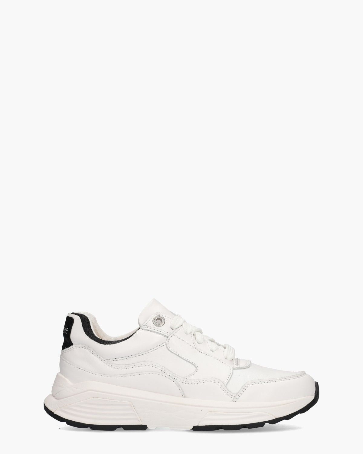 Xsensible Golden Gate Wit