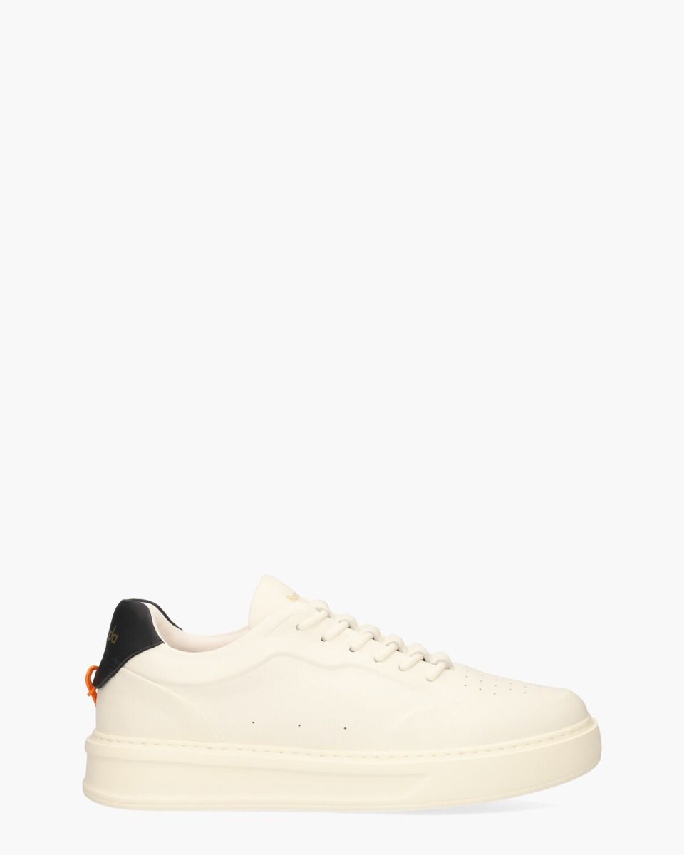 Barracuda Phoenix Wit