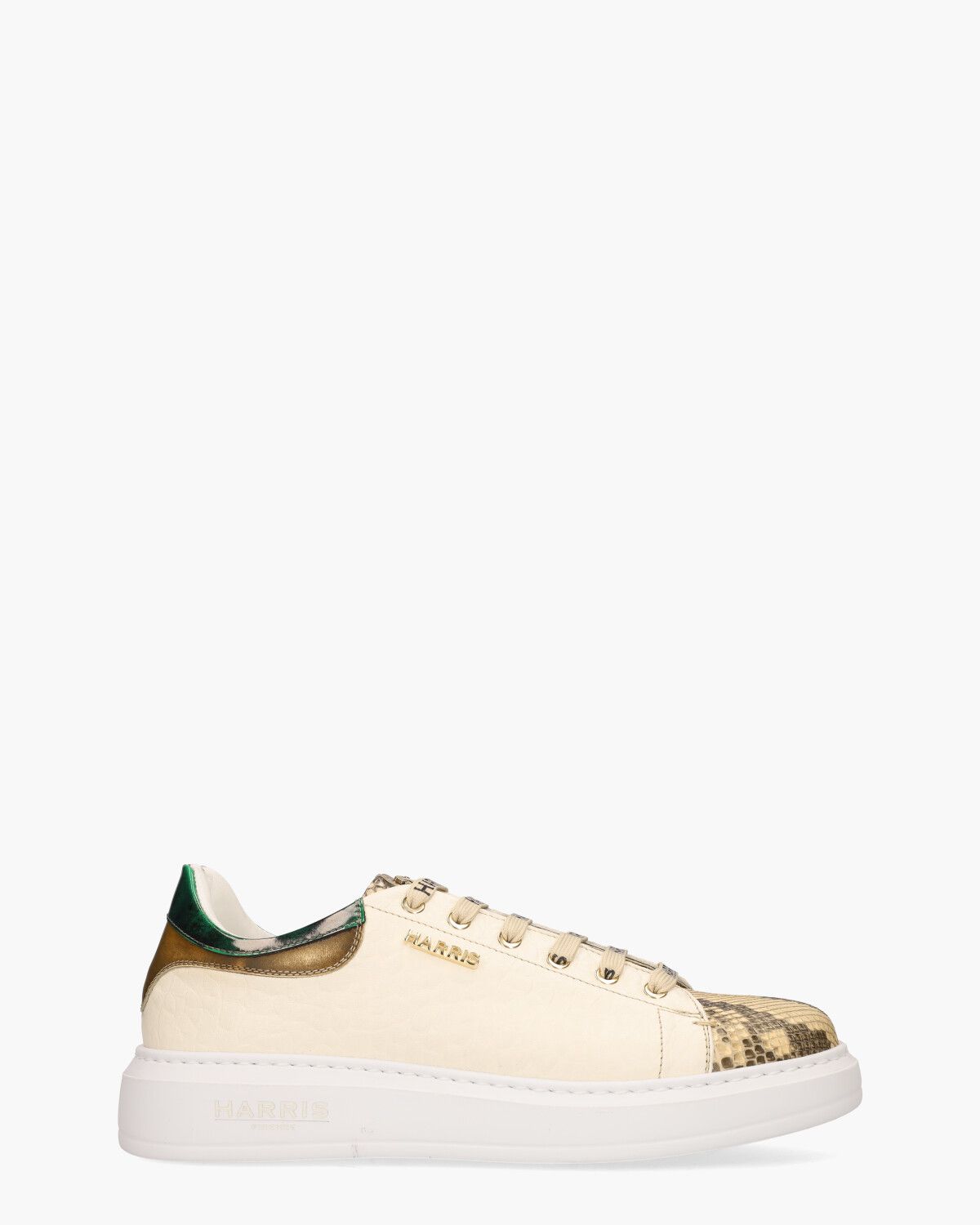 Harris Paul Multicolor