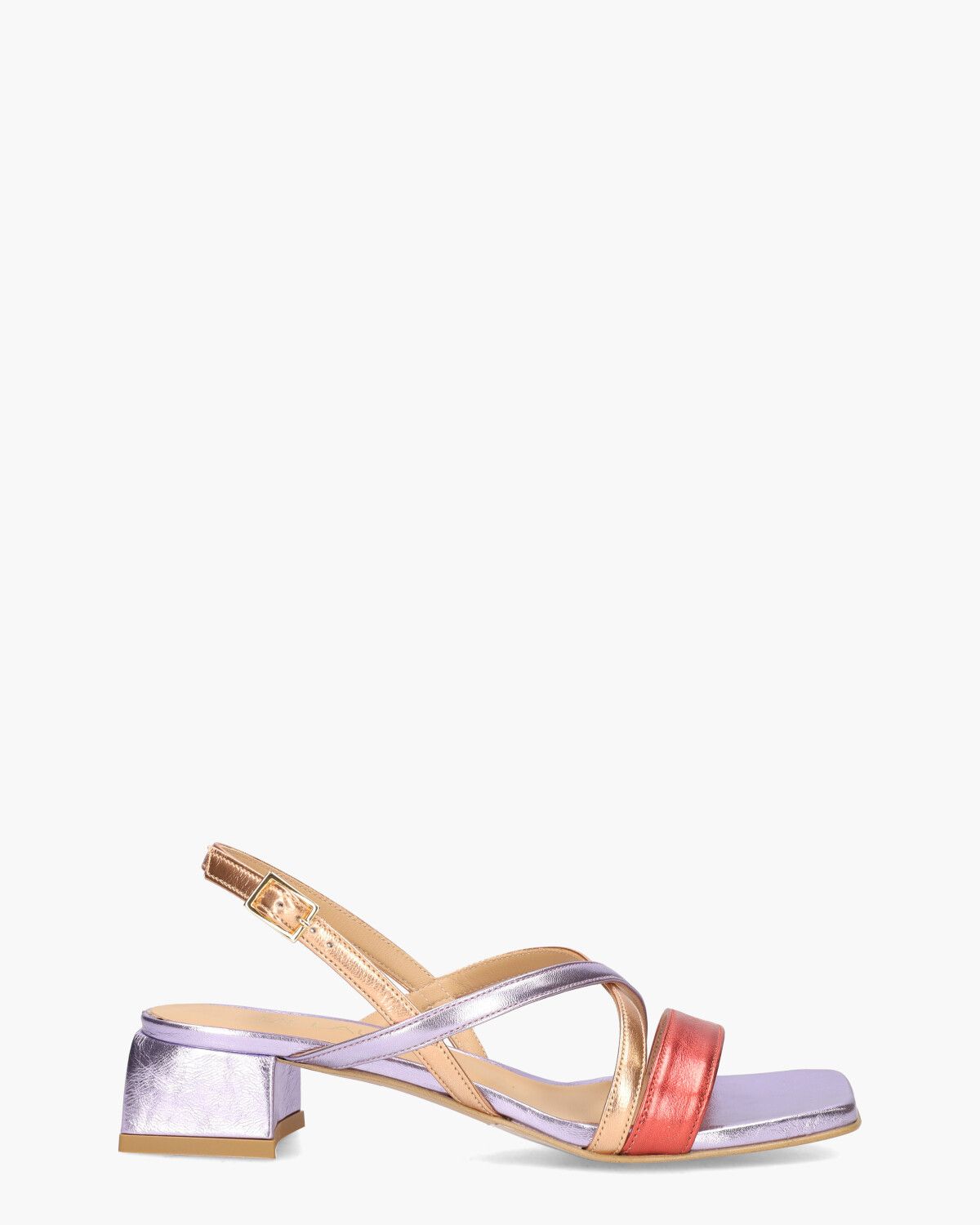 Di lauro Platone 3000 Lila/Multicolor