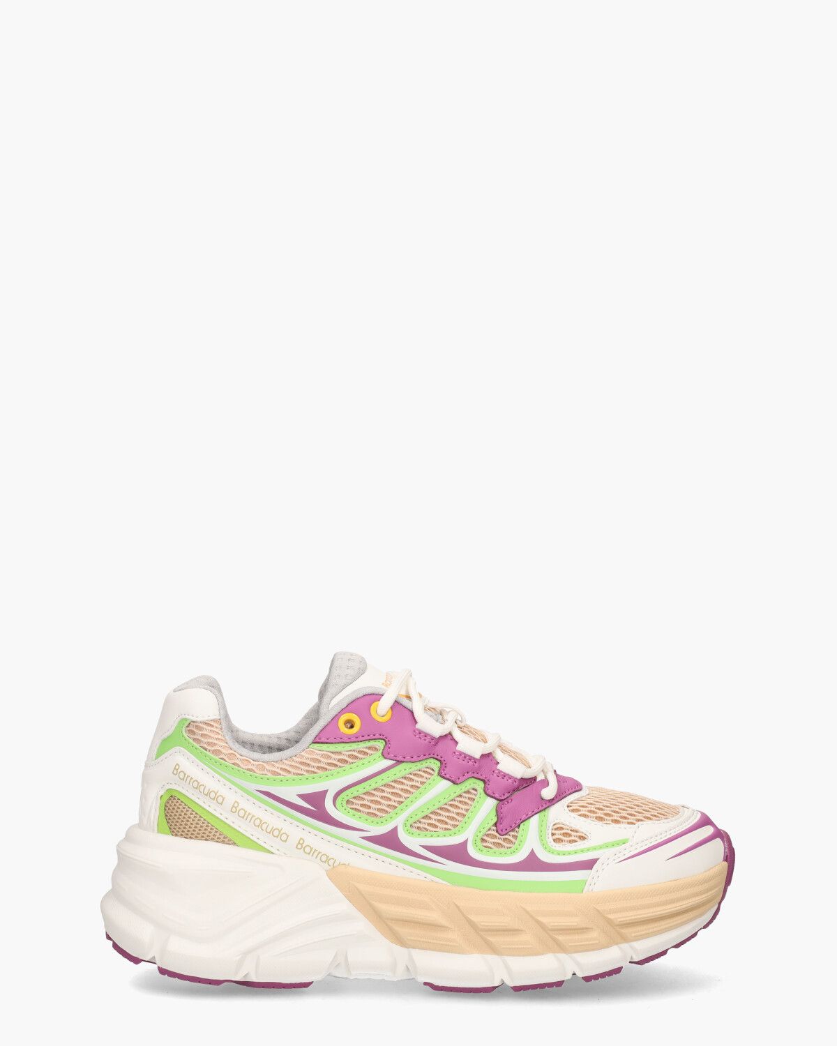 Barracuda Round-One Multicolor