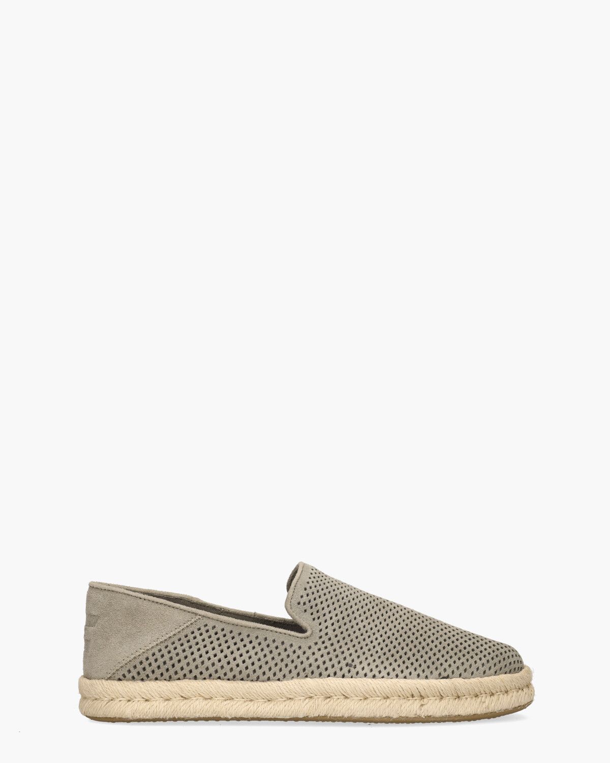 Toms Santiago Groen